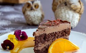 Sowia Grapa Walim Góry Sowie